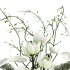 Flower In Vase 028 - Thumbnail 4