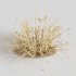 Dry Wheat Grass Clump - Thumbnail 1