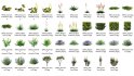 Collection 02 – Mediterrannean Garden - Thumbnail 12
