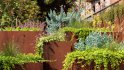Collection 11 – Ground cover – Vines and Creepers - Thumbnail 2