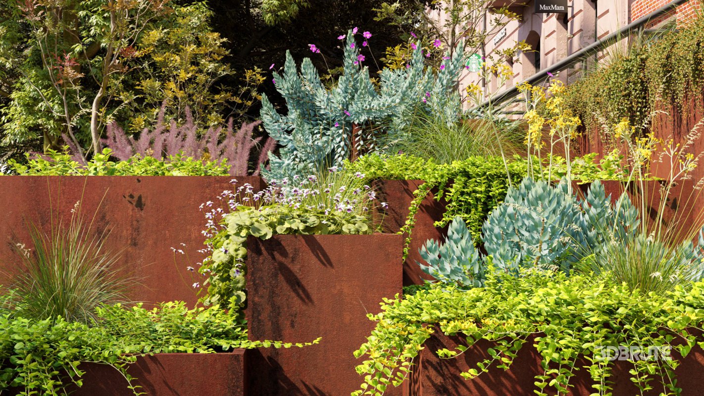 Collection 11 – Ground cover – Vines and Creepers Image 2