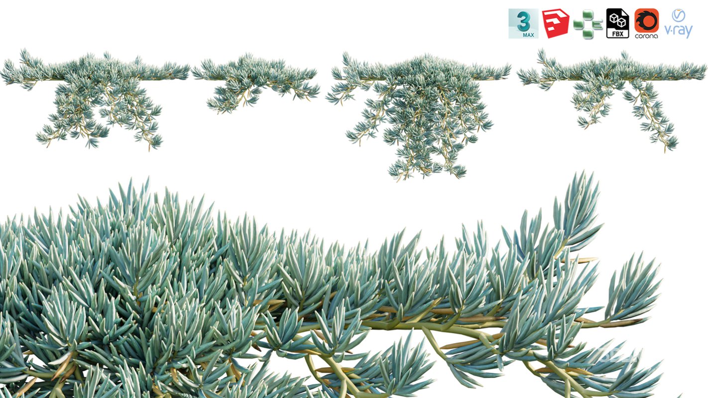 Collection 12 – Desert Garden Image 32