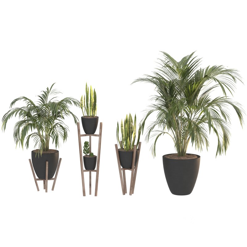 Black Metal Plant Set Image 5