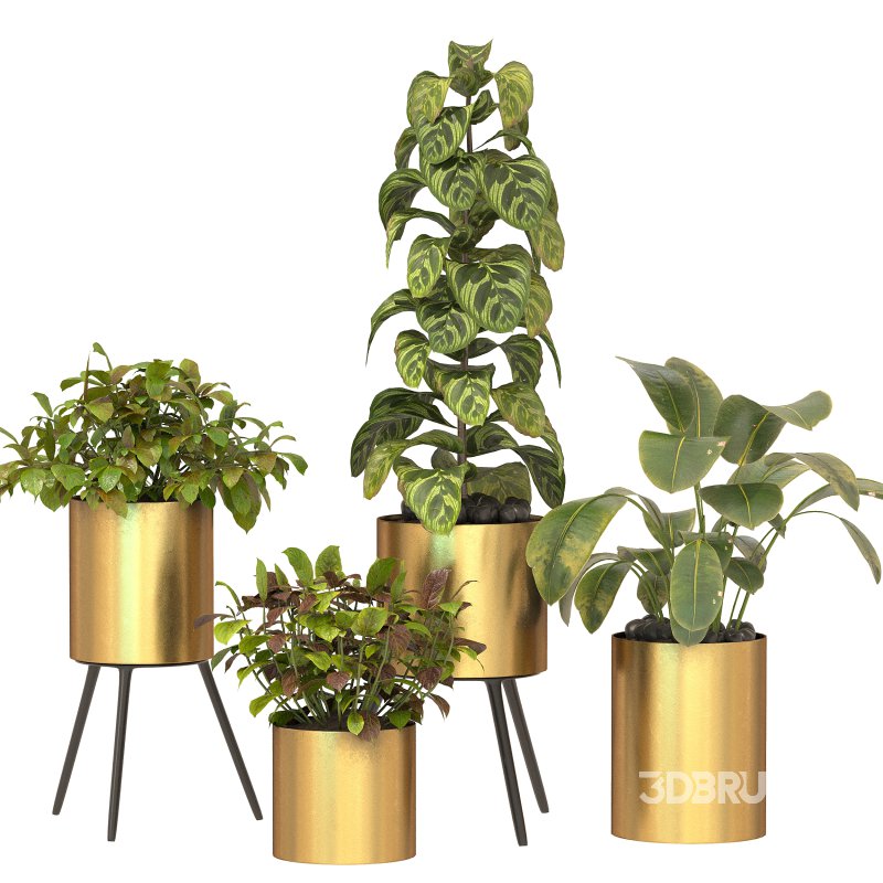 Metal Plant Set 05 Image 7