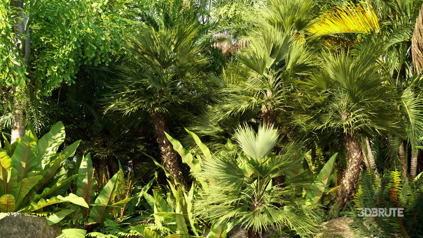 Collection 10 – Palm garden Image 3