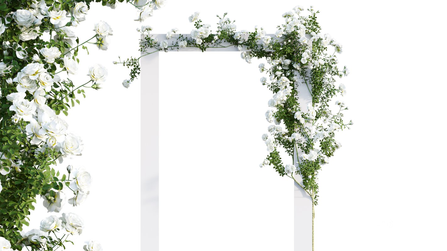 Collection 08 – Rose Garden Image 19