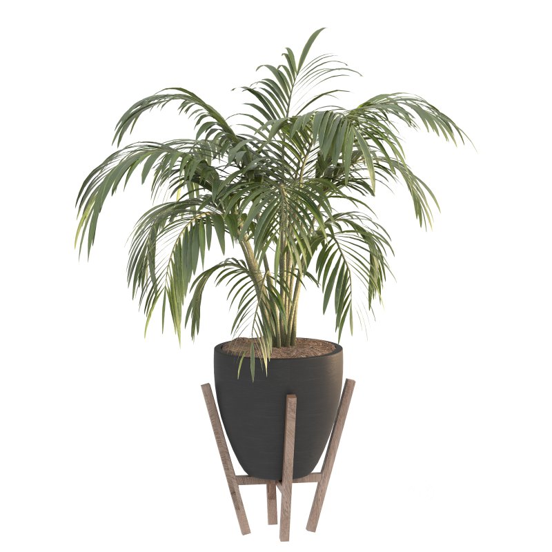 Black Metal Plant Set Image 3