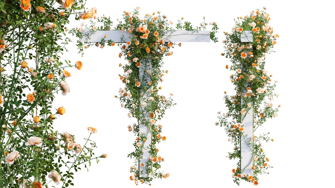 Collection 08 – Rose Garden Image 41