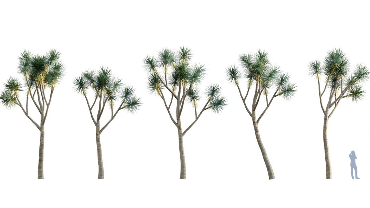 Collection 01 – Mediterrannean Garden (3D Model) Image 10