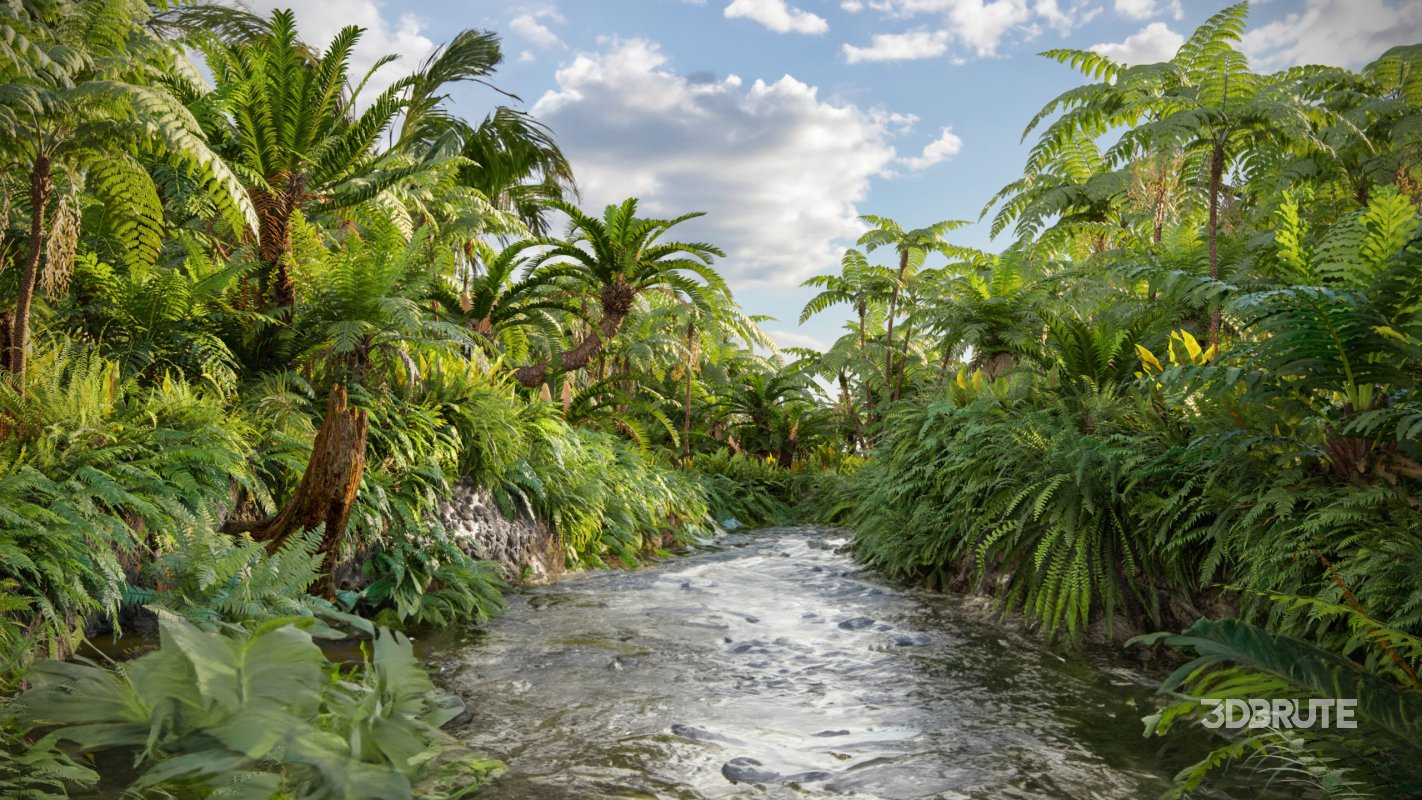 Collection 09 – Fern Garden Image 1