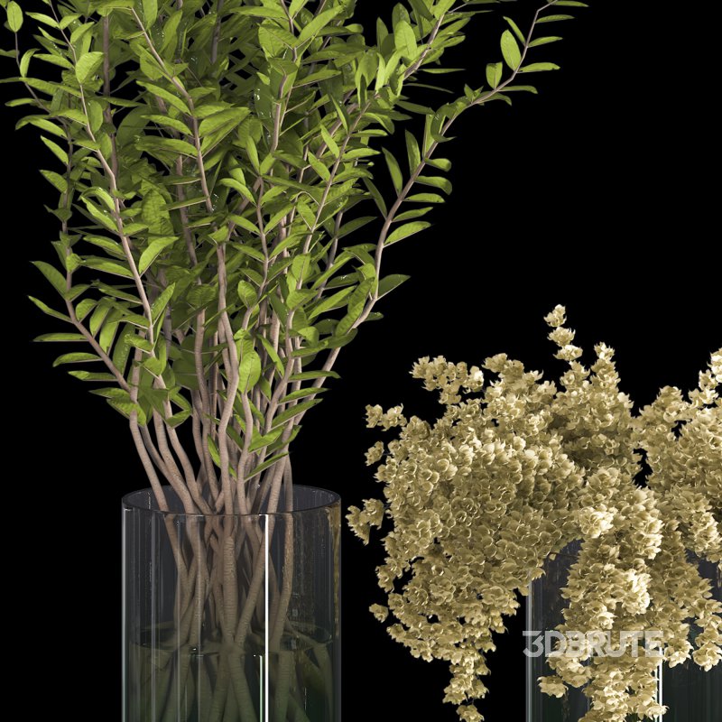 Branches with leaves in Glass Vase Image 4