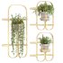 Golden Metal Hanging Plant - Thumbnail 9