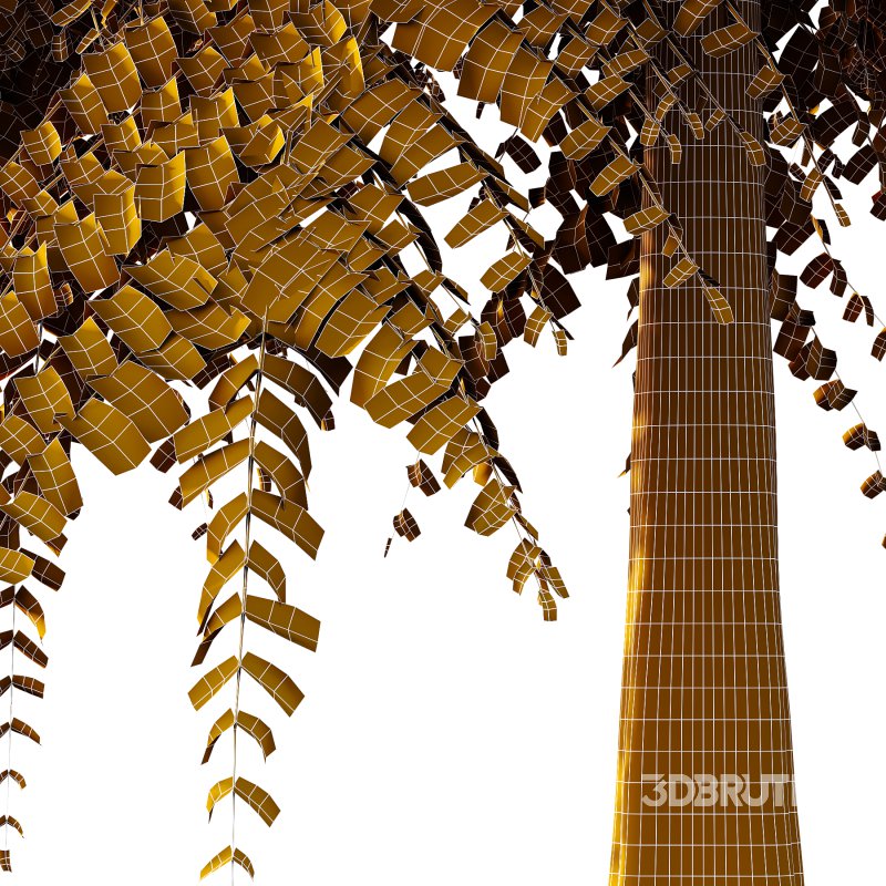 Different Trees 47 Image 6