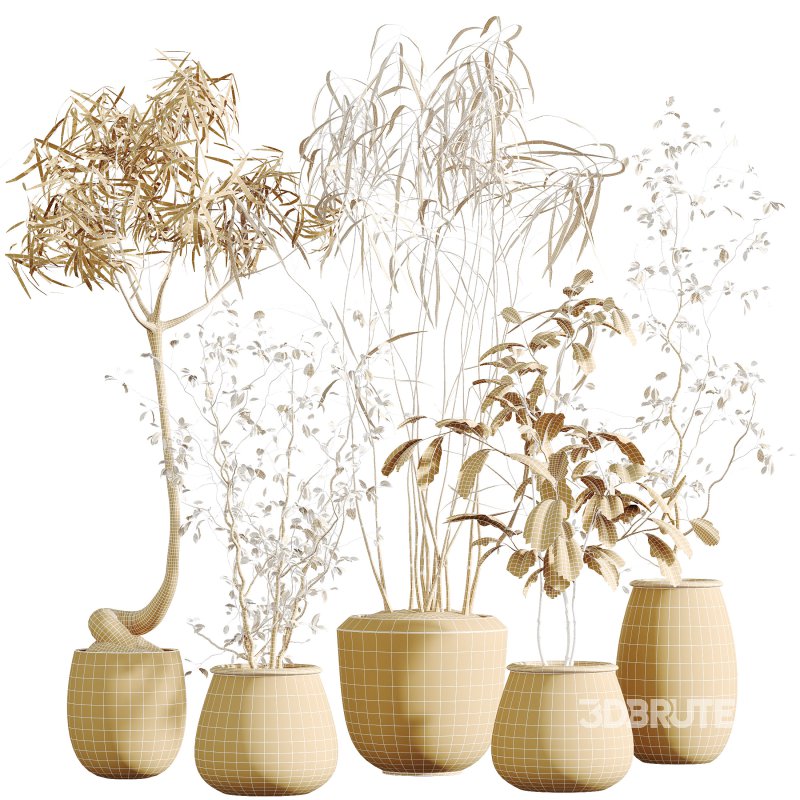 AV Indoor Plants Set 312 Japandi Decorative Minimalism Ficus Dracaena Marginata Image 10