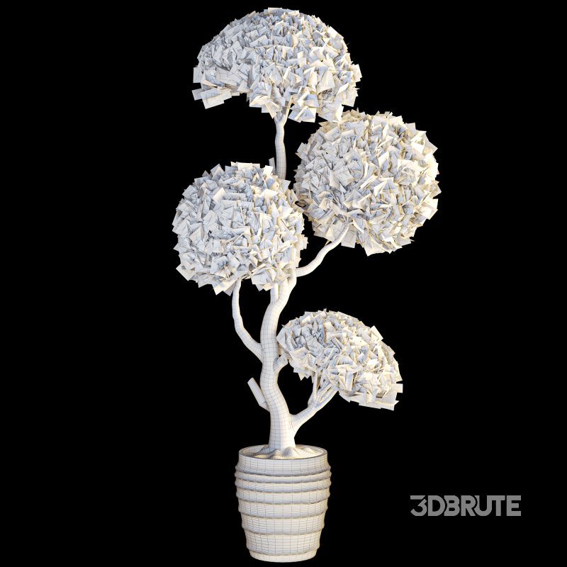 Indoor Topiary Ball Tree Image 4