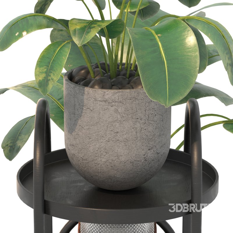 Metal Plant Set 03 Image 7