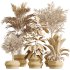 AV Indoor Plants Set 336 Olive and Areca Palm and Banana Nicolai and Ficus Fig - Thumbnail 5