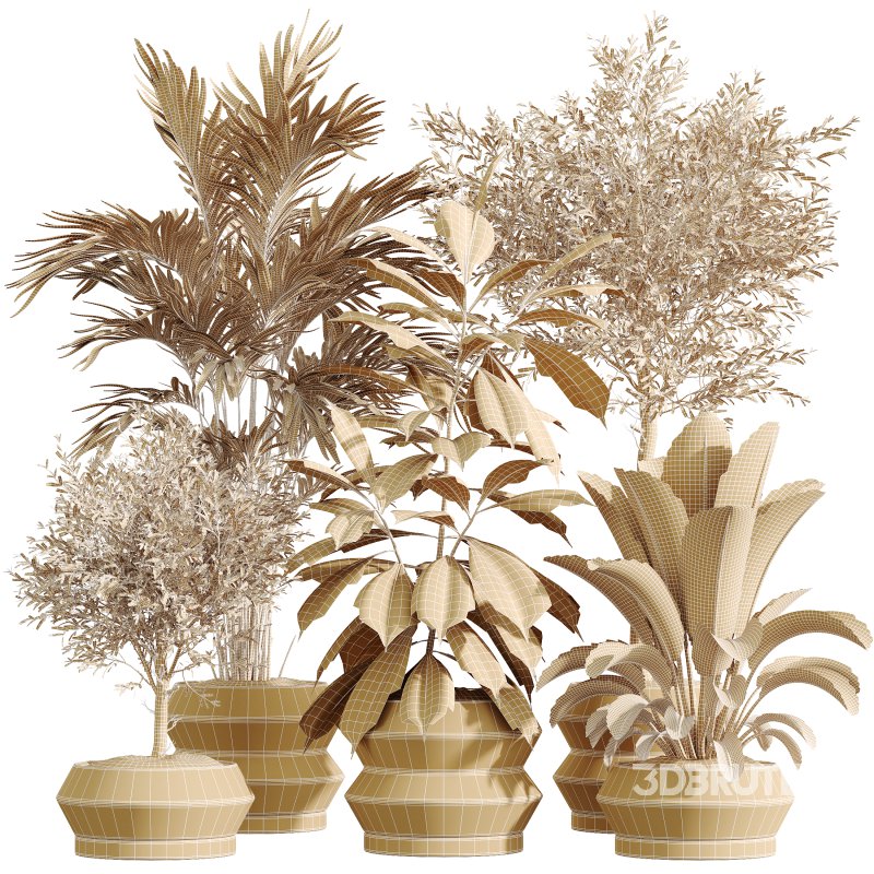 AV Indoor Plants Set 336 Olive and Areca Palm and Banana Nicolai and Ficus Fig Image 5