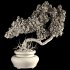 Bonsai - Thumbnail 3
