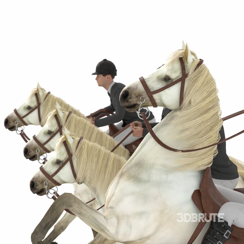 Horse rider 04 poses Image 4