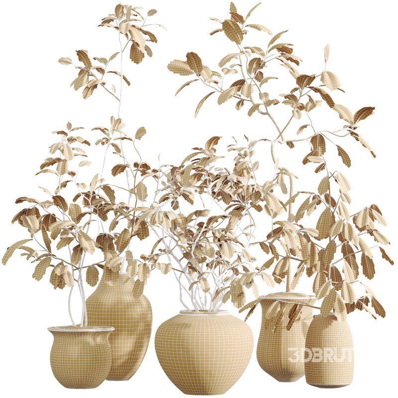 AV Indoor Plants Set 321 Japandi Decorative Minimalism Ficus Dracaena Marginata Image 11