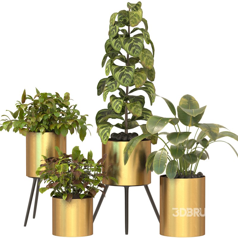 Metal Plant Set 05 Image 5