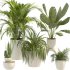 Plant Set 10 - Thumbnail 3