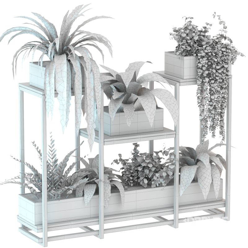 Plant Set 08 Image 1