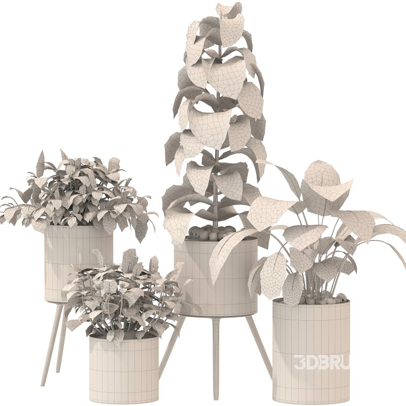 Metal Plant Set 05 Image 4