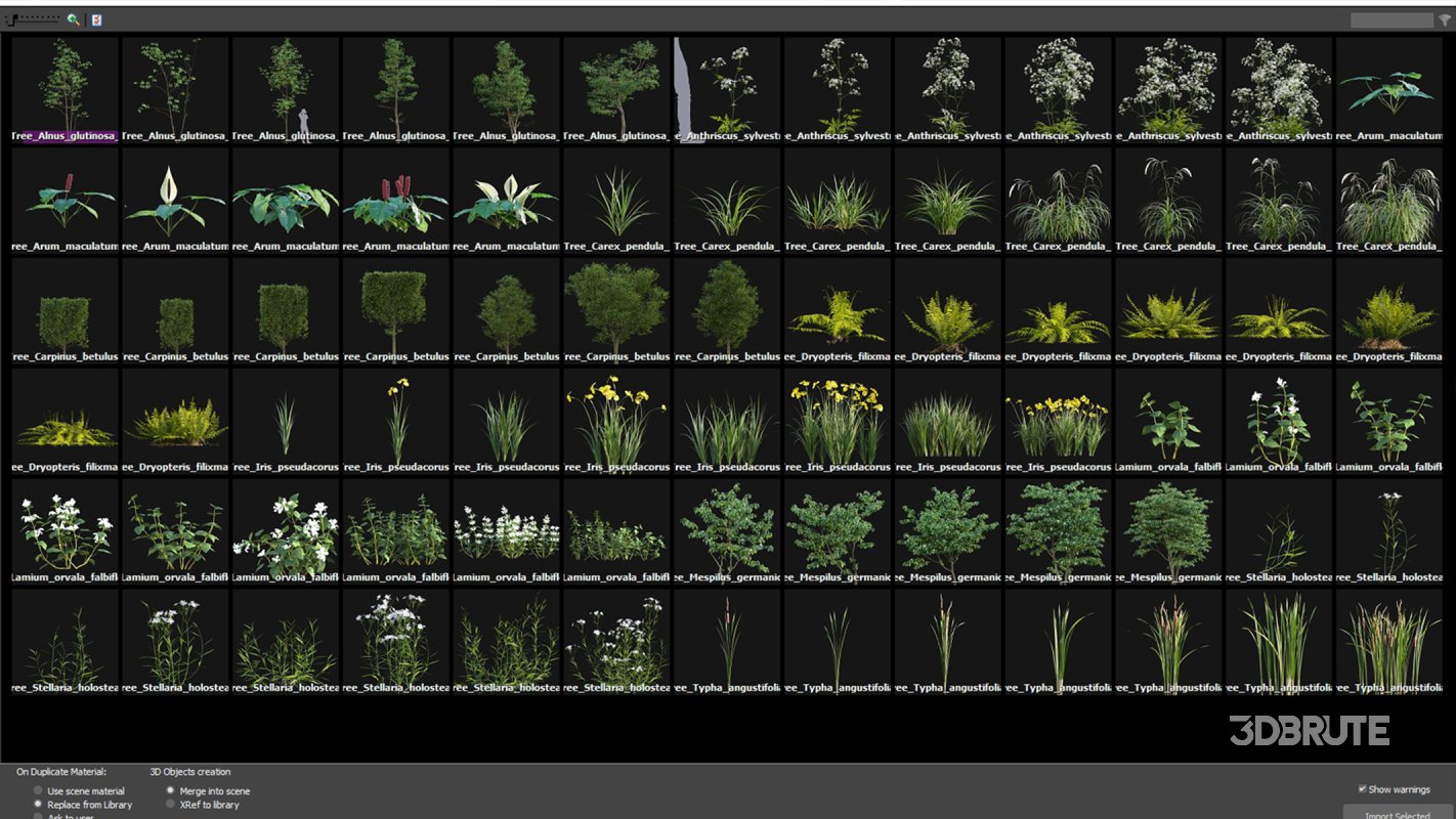 Collection 14 – English Garden Image 4