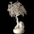 Bonsai - Thumbnail 5
