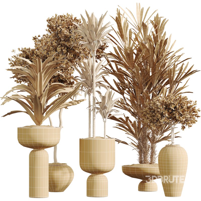 AV Indoor Plants Set 348 Olive Tree and Rhapis Excelsa Lady Palm and Warneckii Lemon Image 6