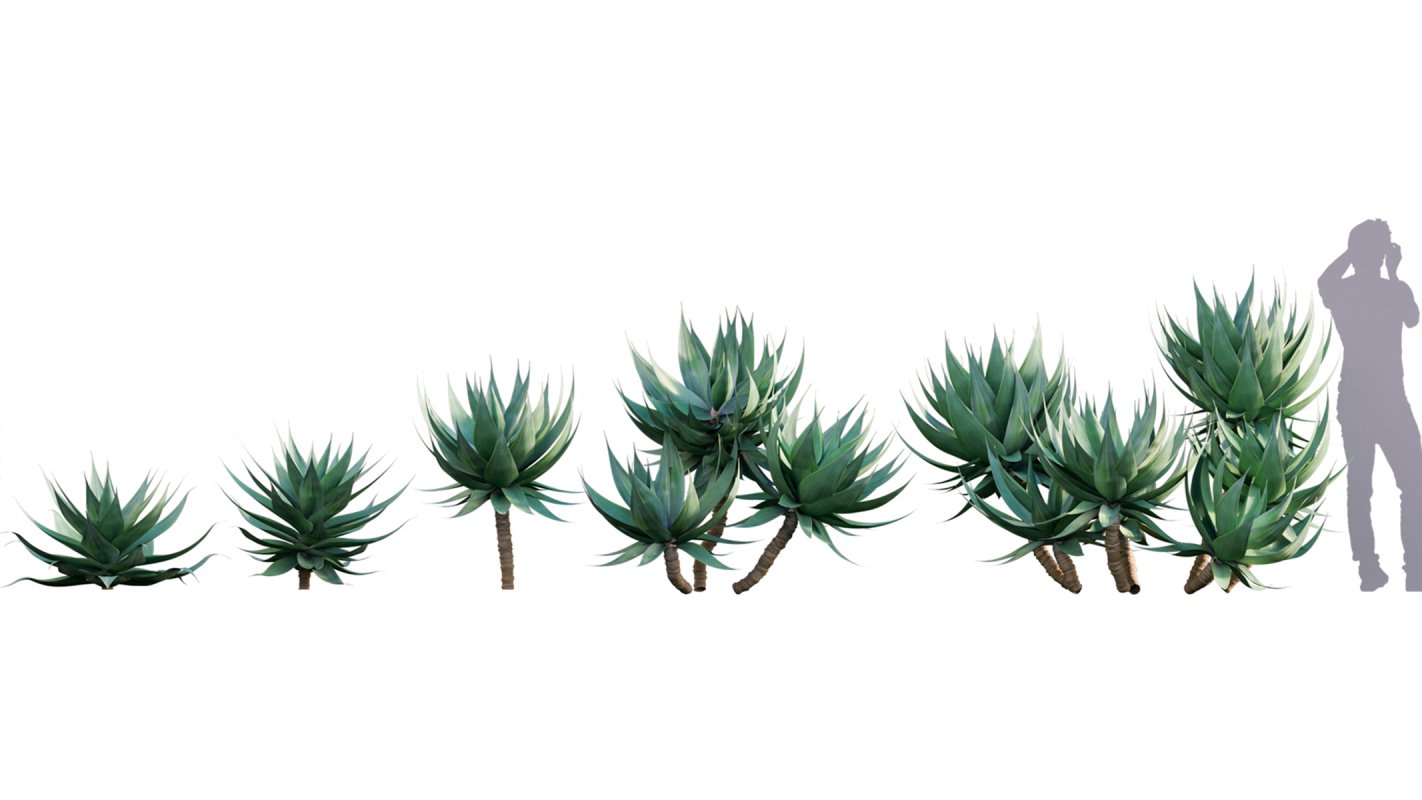 Collection 01 – Mediterrannean Garden (3D Model) Image 4