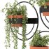 Modern Wall Planters With Geometric Designs - Thumbnail 8