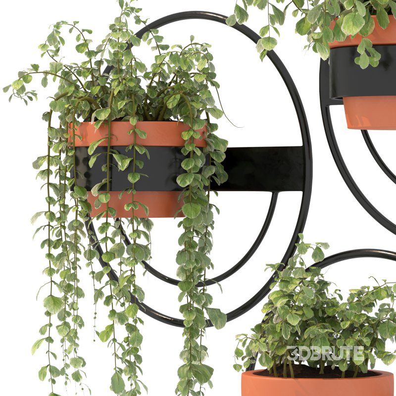 Modern Wall Planters With Geometric Designs Image 8