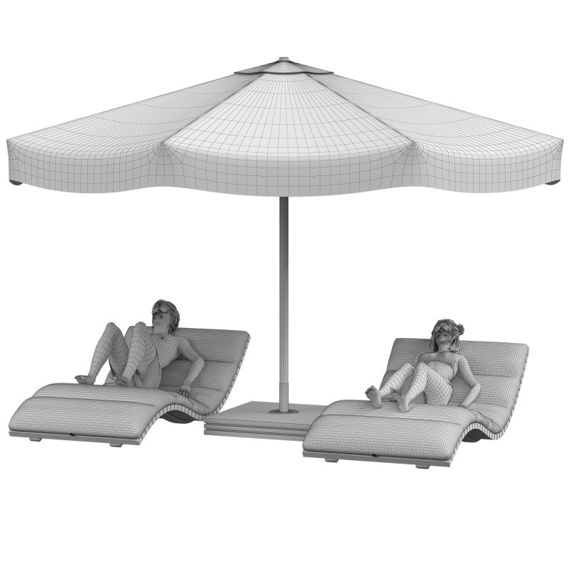 Sunbathing Lounge Duo Image 4