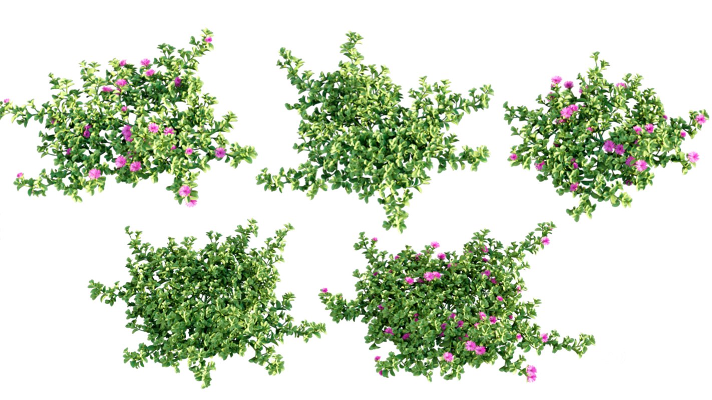 Collection 01 – Mediterrannean Garden (3D Model) Image 11