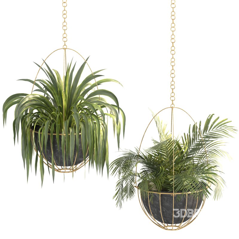 Metal Hanging Plants 05 Image 3