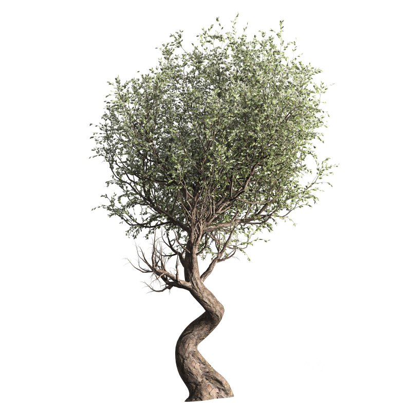 Tree set 001 Image 4