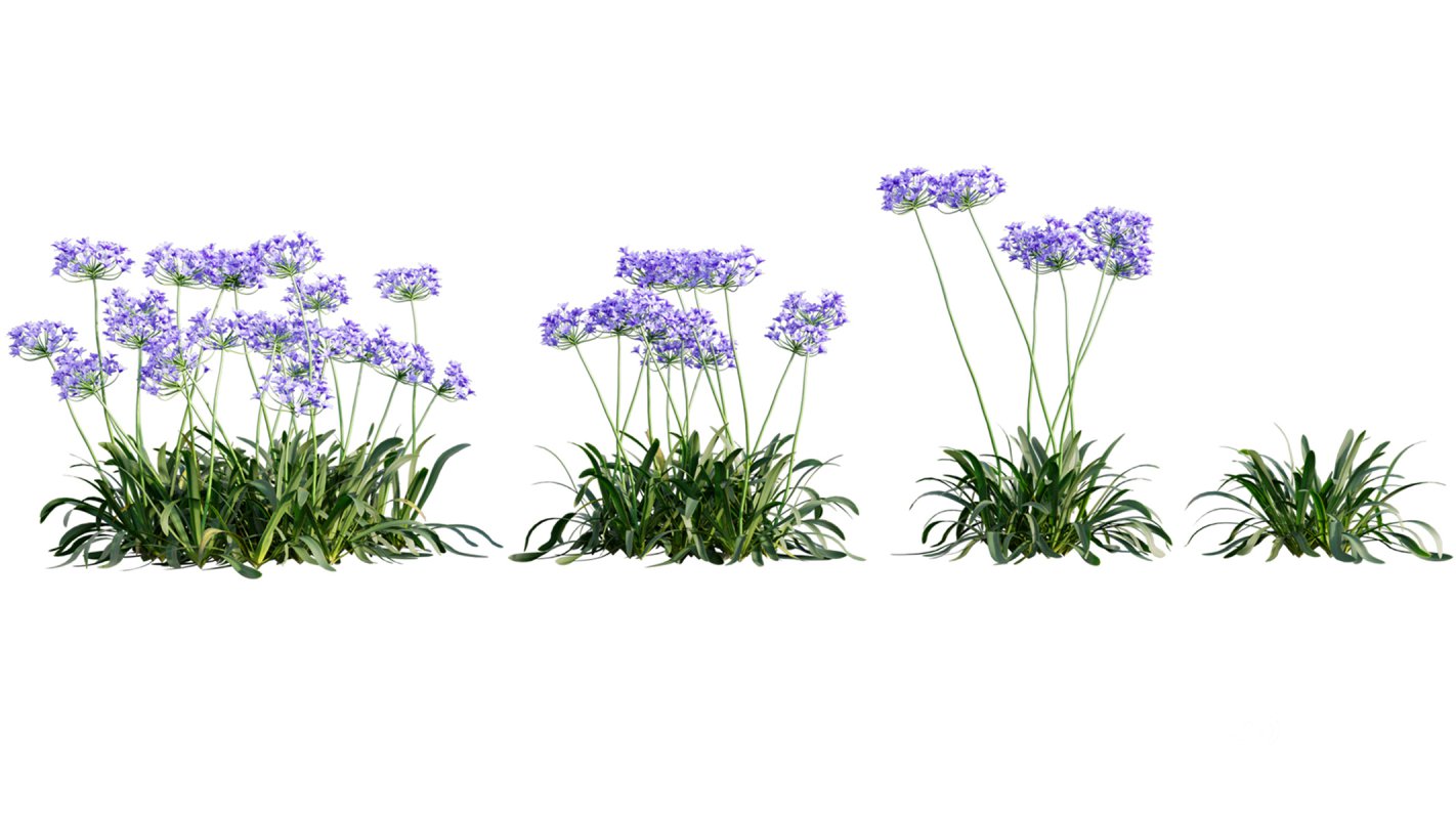 Collection 01 – Mediterrannean Garden (3D Model) Image 3