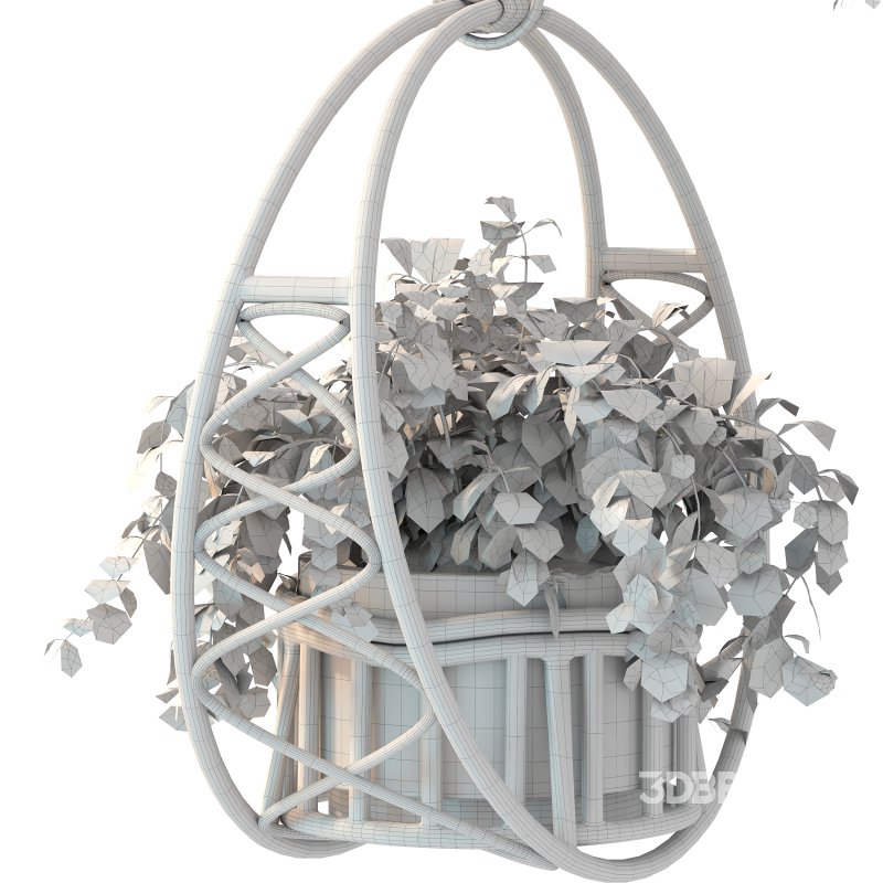 Boho Hanging Plants 05 Image 6