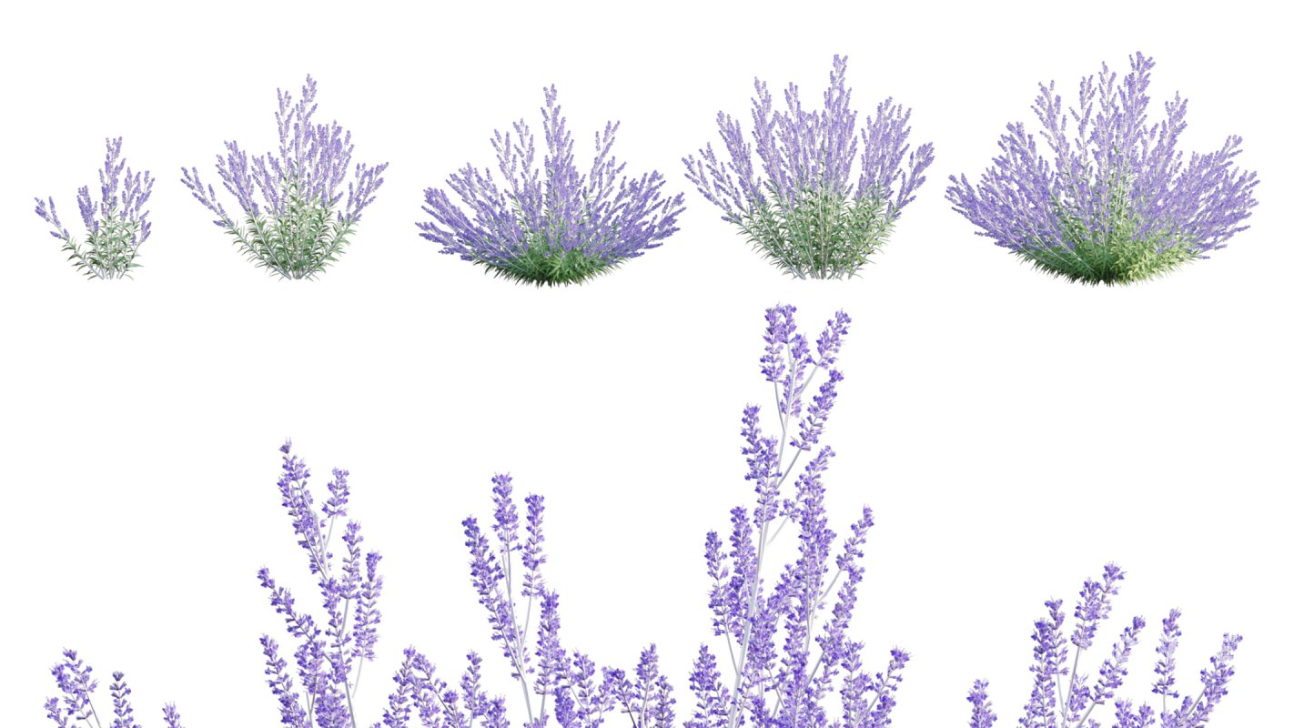 Collection 05 – Flower Garden Image 8