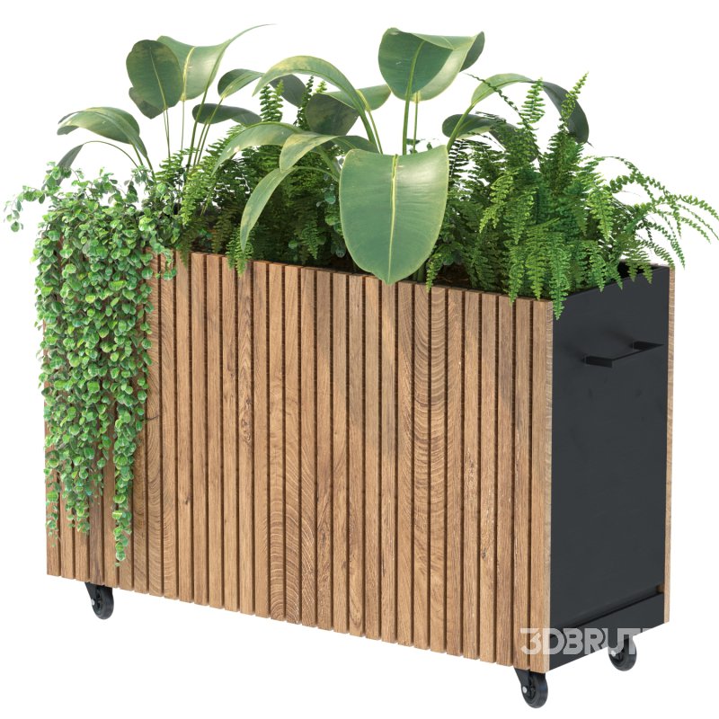 Plant Set 06 Image 5