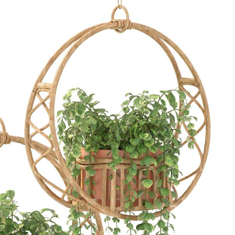 Boho Hanging Plants 05 Image 8