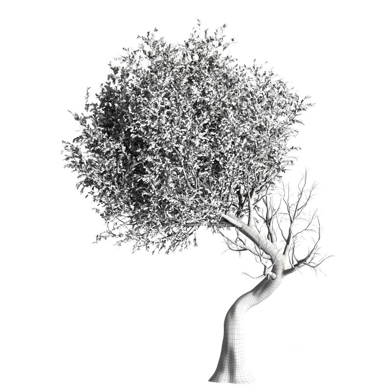 Tree set 001 Image 2