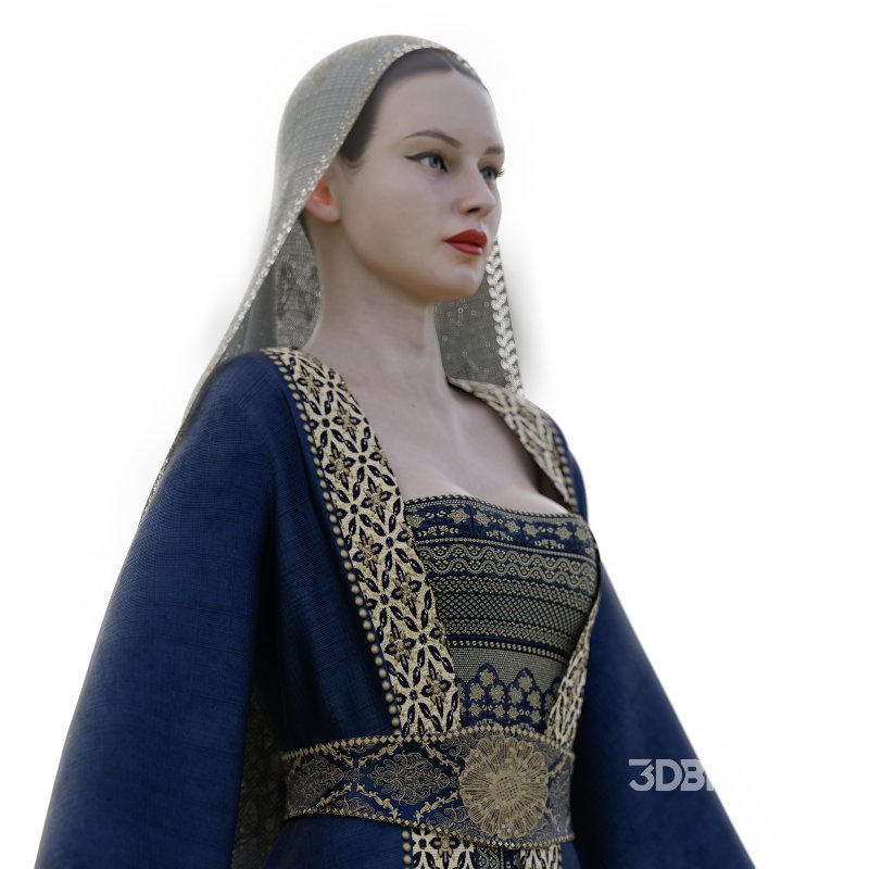 Traditional Gulf Gown Image 4