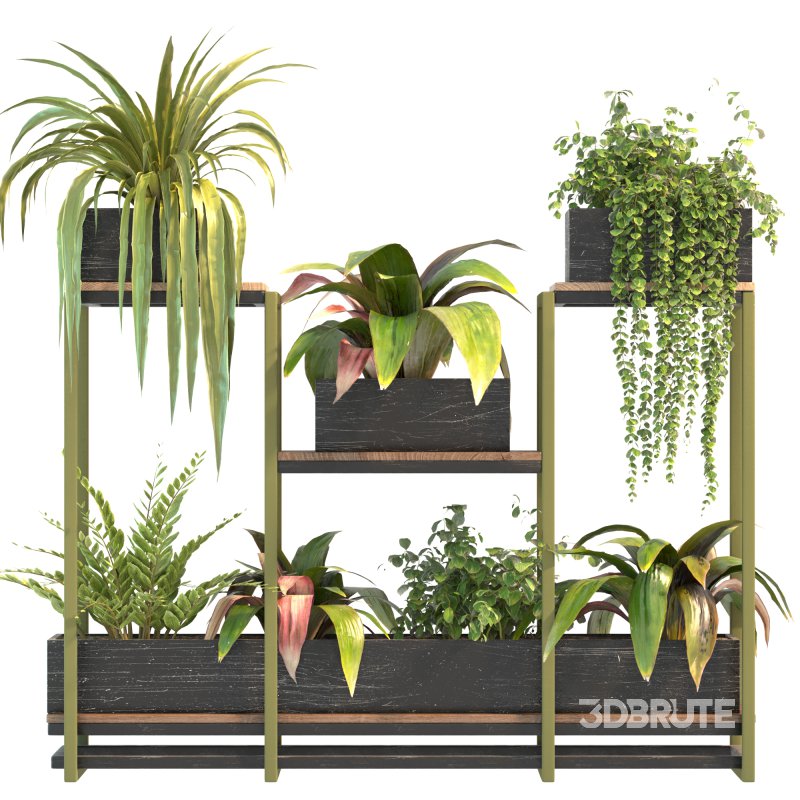 Plant Set 08 Image 3