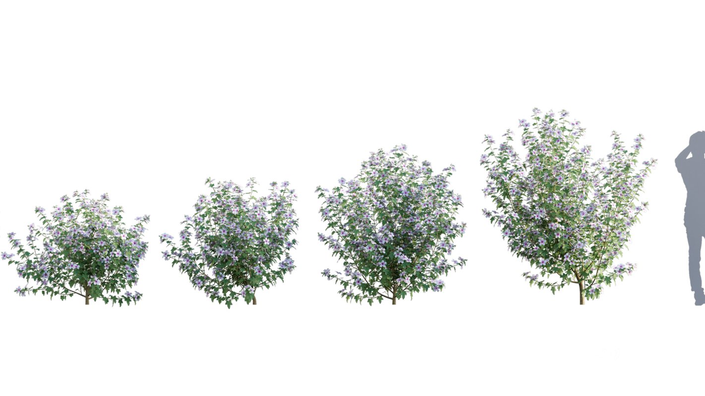 Collection 01 – Mediterrannean Garden (3D Model) Image 5