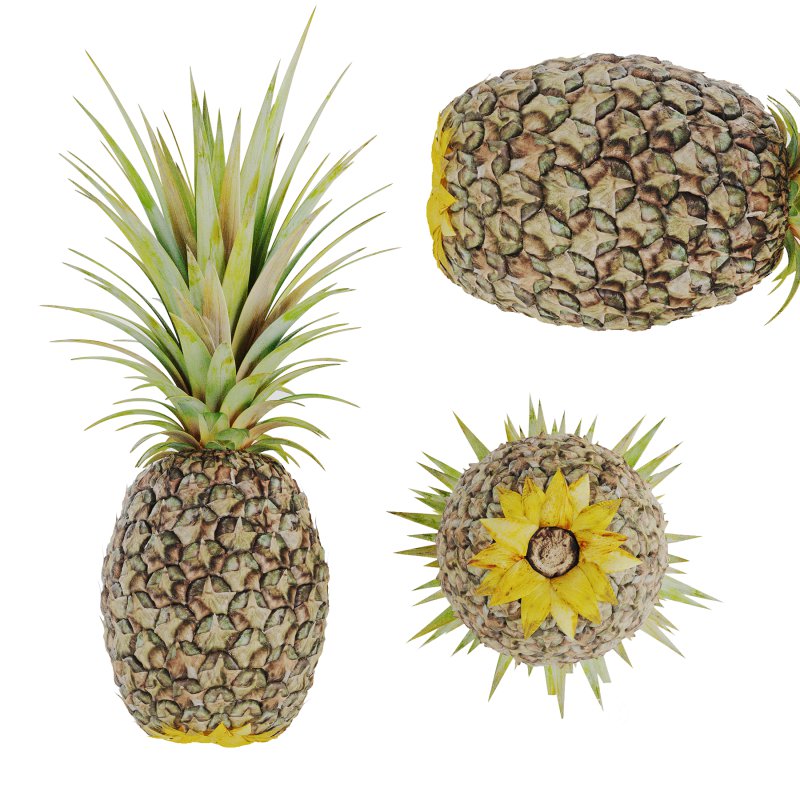 Ananas Image 2