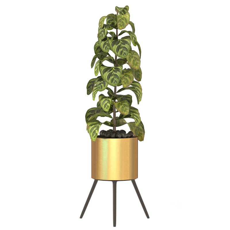 Metal Plant Set 05 Image 2